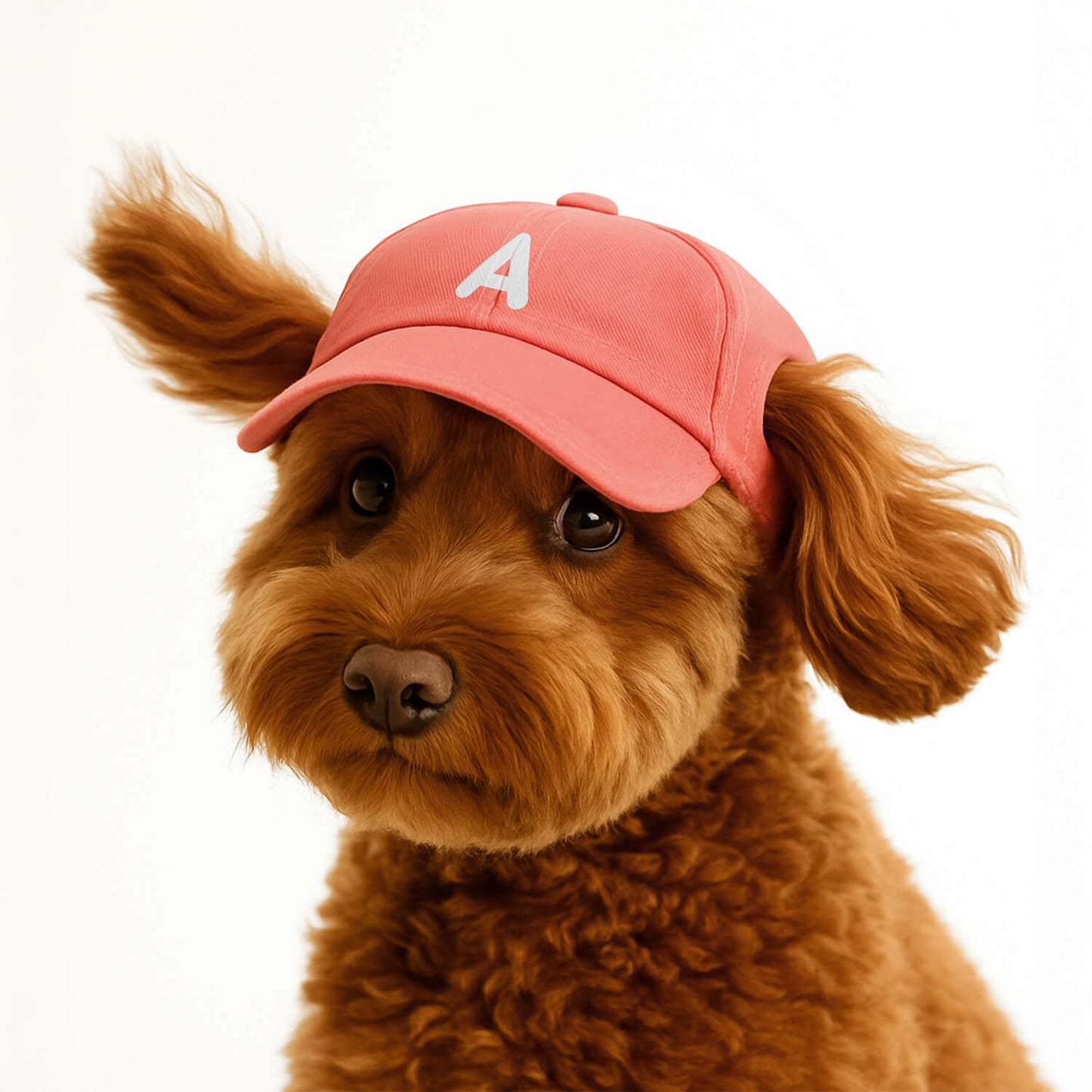 Monogram Hat
