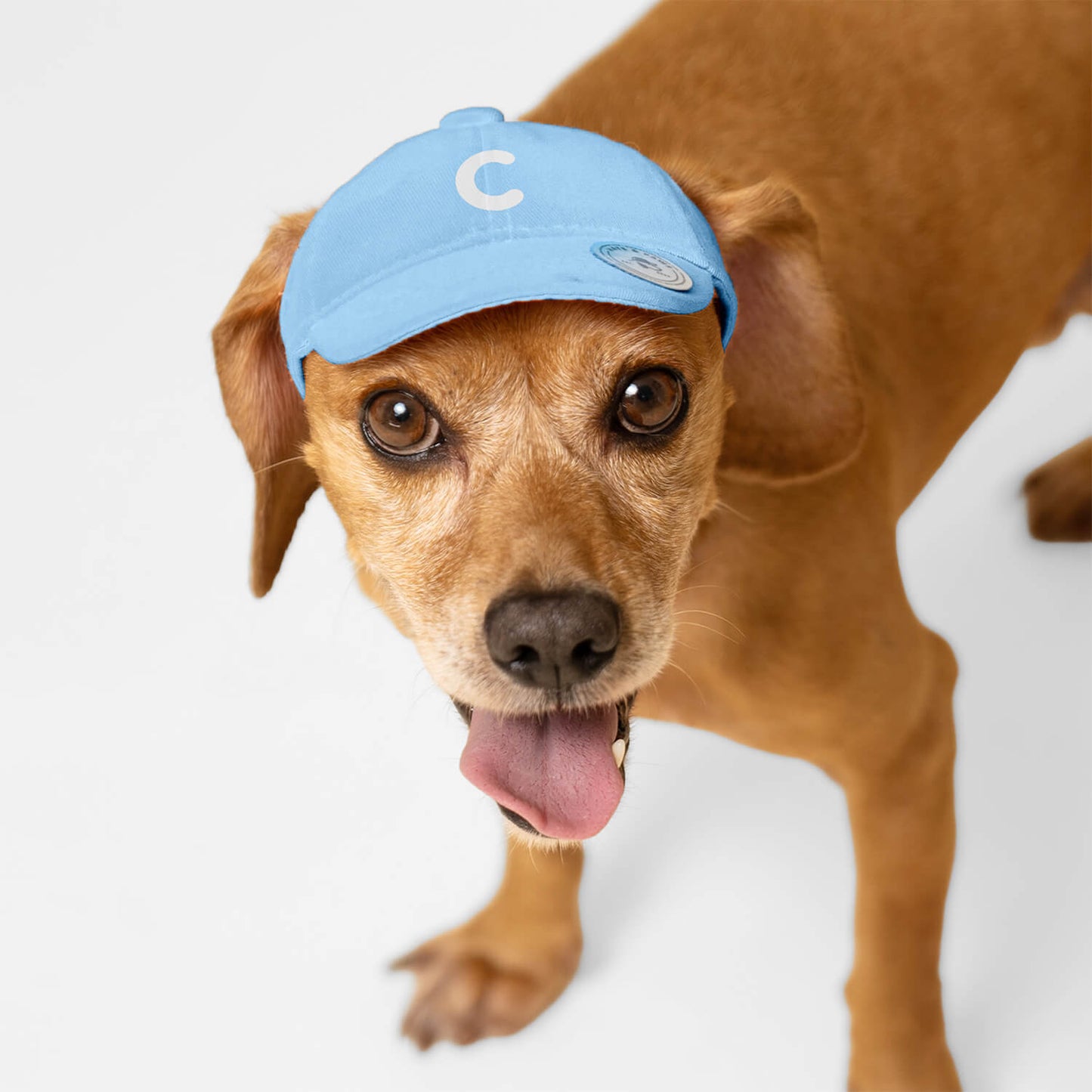 Monogram Hat – Light Blue