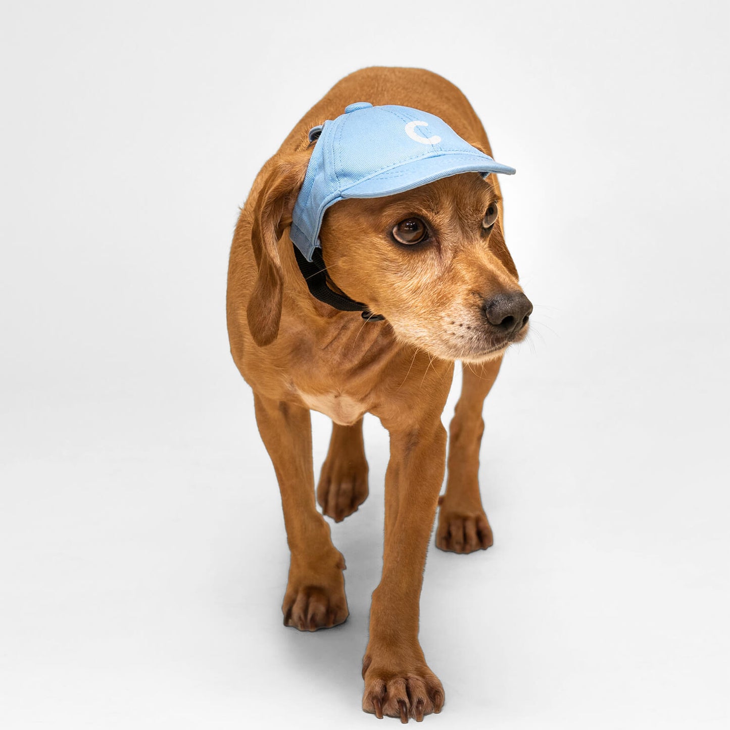 Monogram Hat – Light Blue