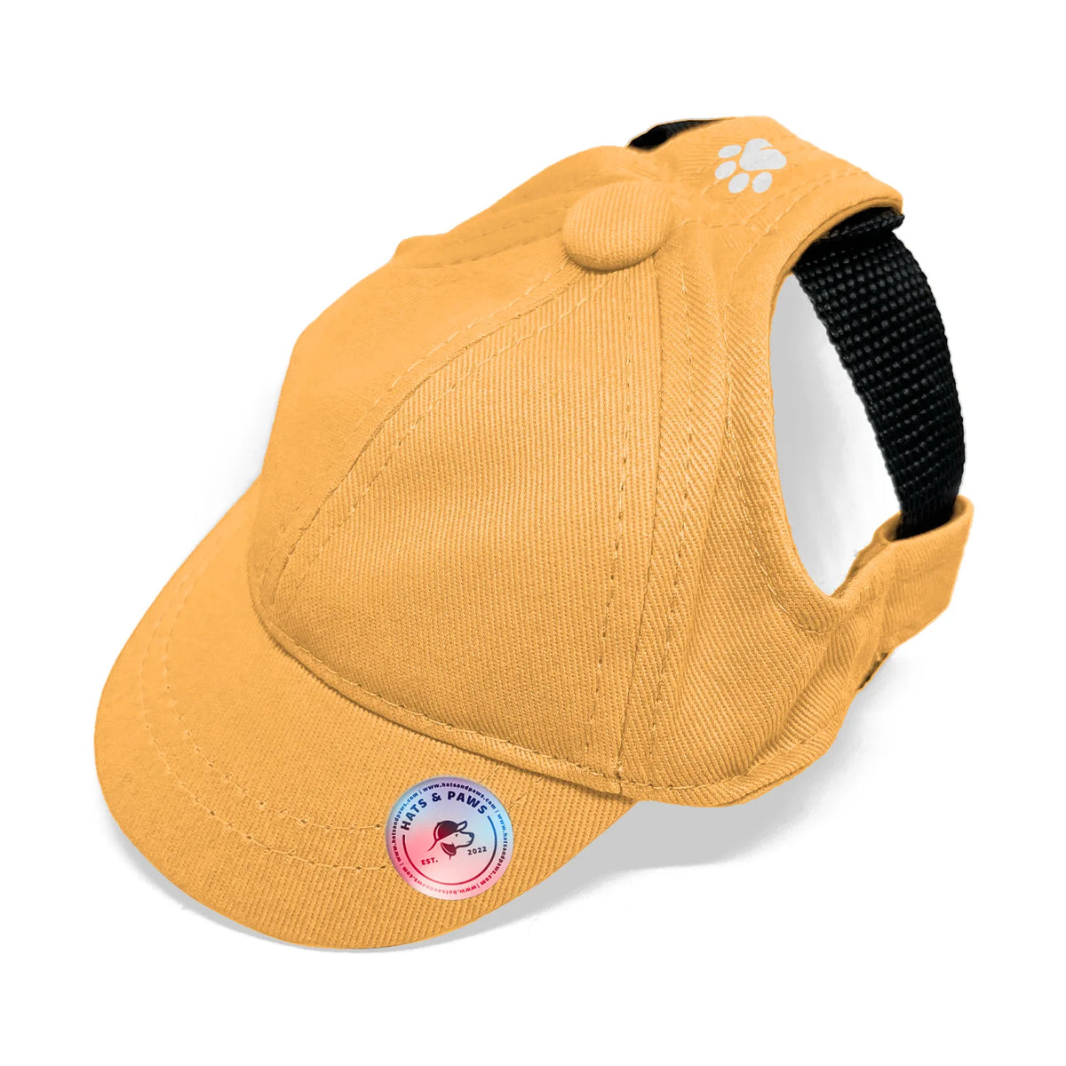 Blank Dog Hat